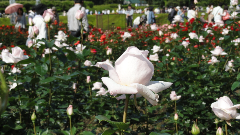 img0112.jpg