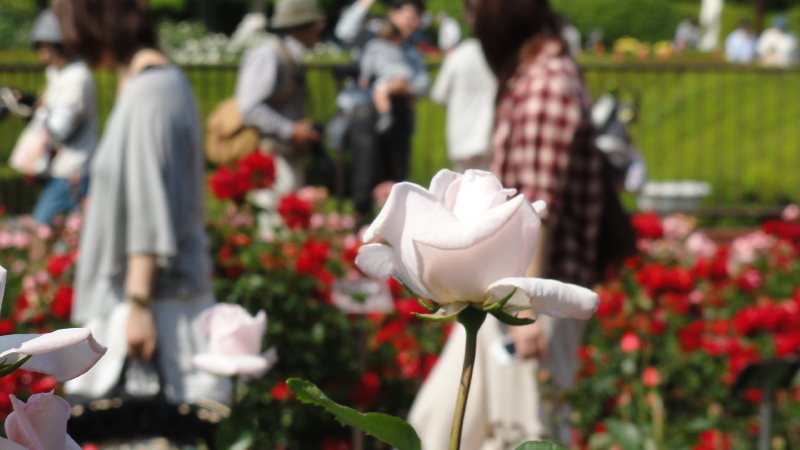 img0113.jpg