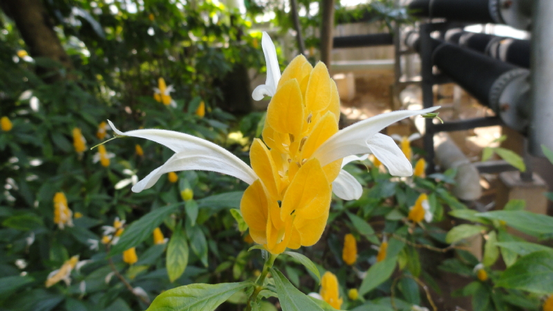 img0119.jpg