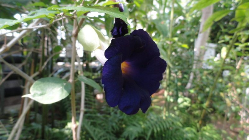 img0120.jpg