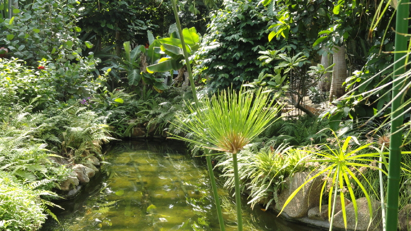 img0125.jpg