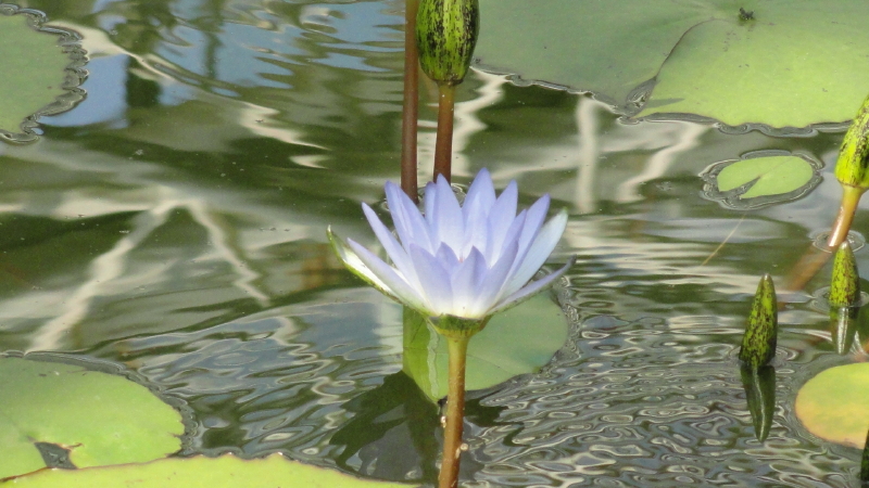 img0130.jpg
