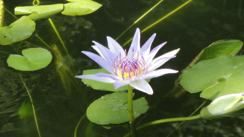 img0132.jpg