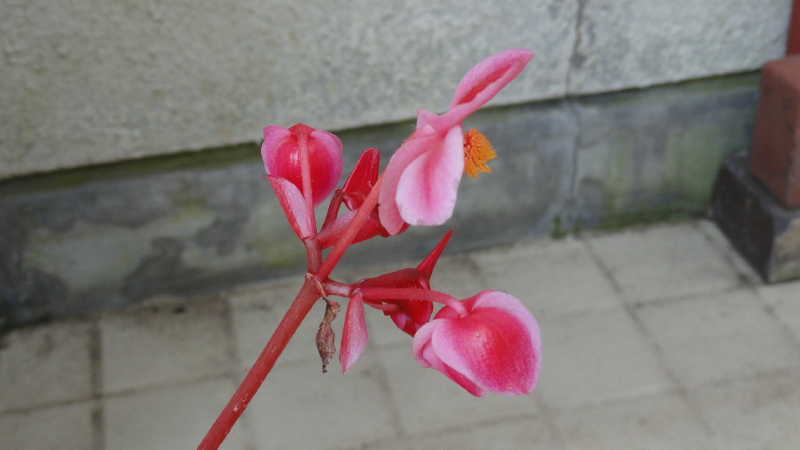 img0135.jpg