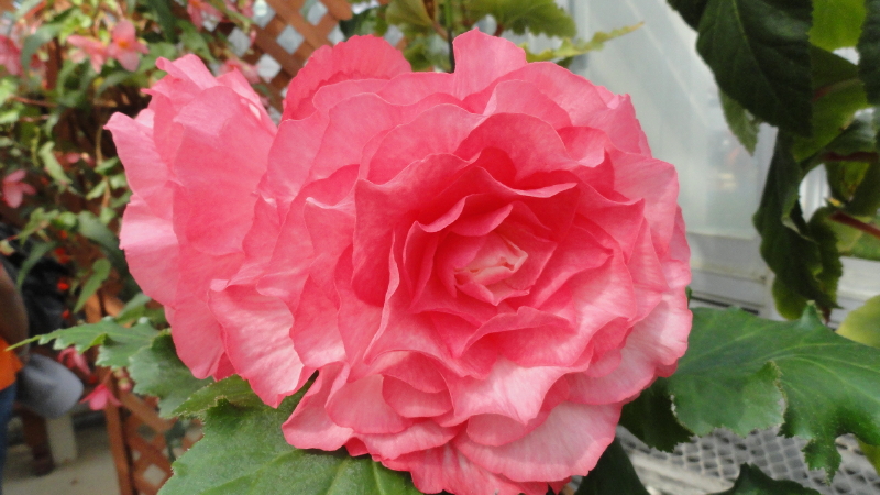 img0144.jpg
