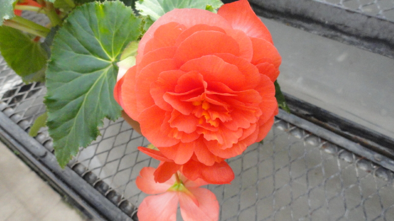 img0147.jpg