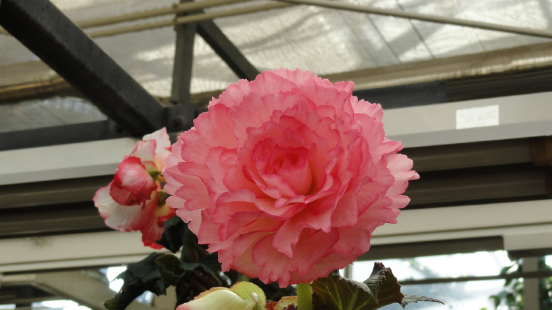 img0150.jpg
