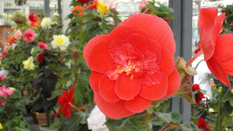 img0152.jpg