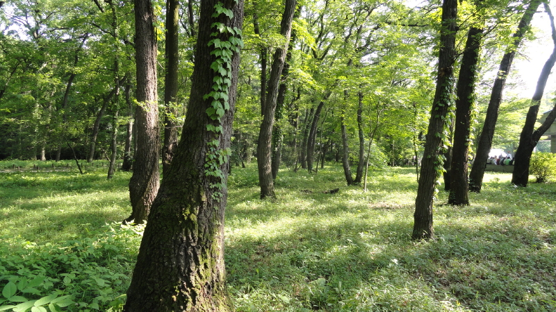 img0167.jpg