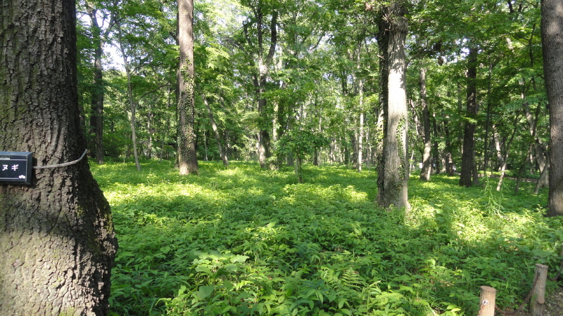 img0168.jpg