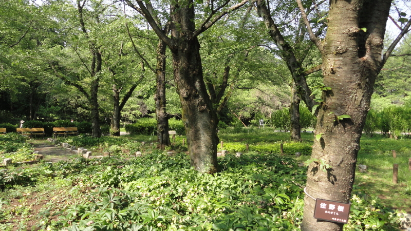 img0171.jpg