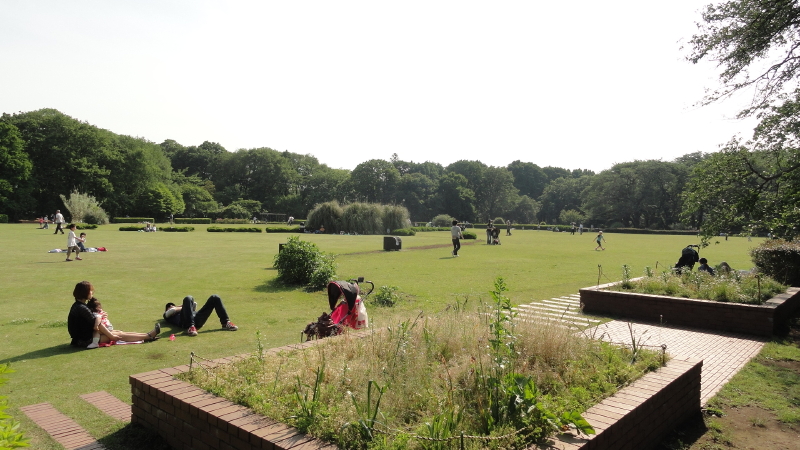 img0172.jpg