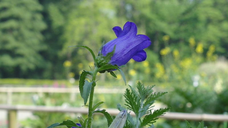 img0175.jpg