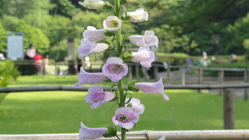 img0177.jpg