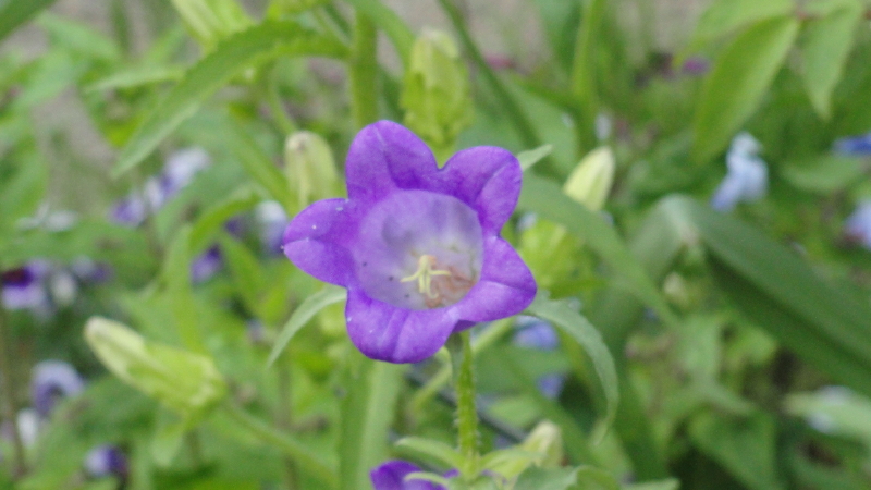 img0178.jpg
