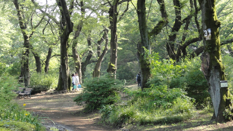 img0179.jpg