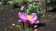 img0003.jpg