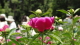 img0007.jpg