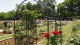 img0011.jpg