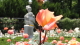 img0016.jpg