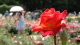 img0017.jpg