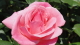 img0018.jpg