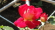 img0019.jpg