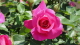 img0023.jpg