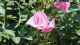 img0027.jpg