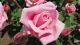 img0030.jpg