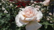 img0044.jpg