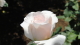 img0046.jpg