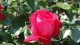 img0047.jpg