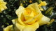 img0048.jpg