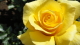 img0049.jpg