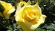 img0050.jpg