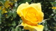 img0051.jpg