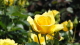 img0052.jpg