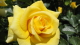 img0053.jpg
