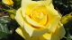 img0054.jpg