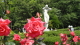 img0060.jpg