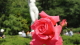 img0061.jpg