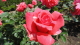 img0065.jpg