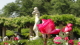 img0072.jpg