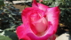 img0076.jpg