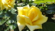 img0078.jpg