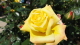 img0079.jpg