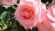 img0092.jpg