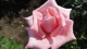 img0094.jpg