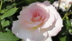 img0099.jpg